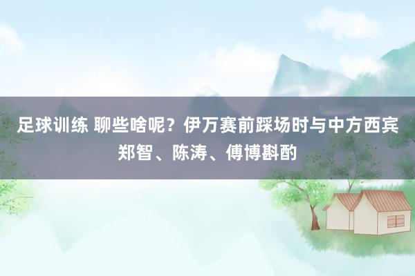 足球训练 聊些啥呢？伊万赛前踩场时与中方西宾郑智、陈涛、傅博斟酌