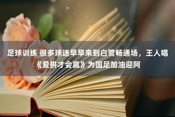 足球训练 很多球迷早早来到白鹭畅通场，王人唱《爱拼才会赢》为国足加油迎阿