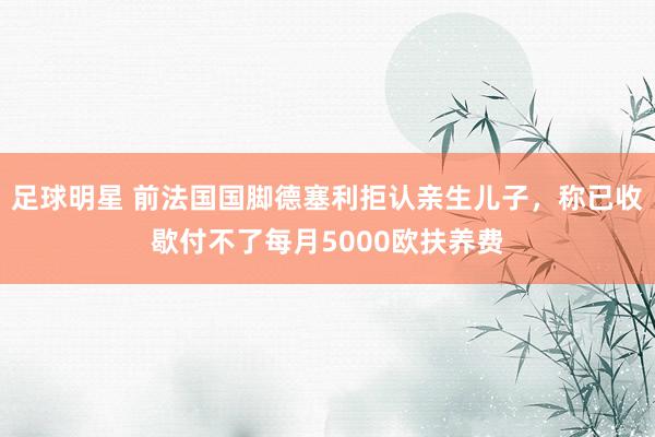 足球明星 前法国国脚德塞利拒认亲生儿子，称已收歇付不了每月5000欧扶养费