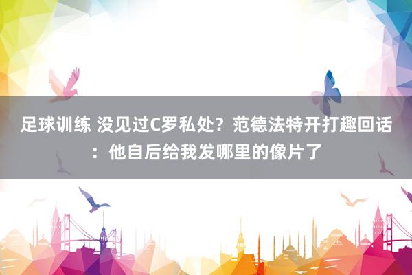 足球训练 没见过C罗私处？范德法特开打趣回话：他自后给我发哪里的像片了