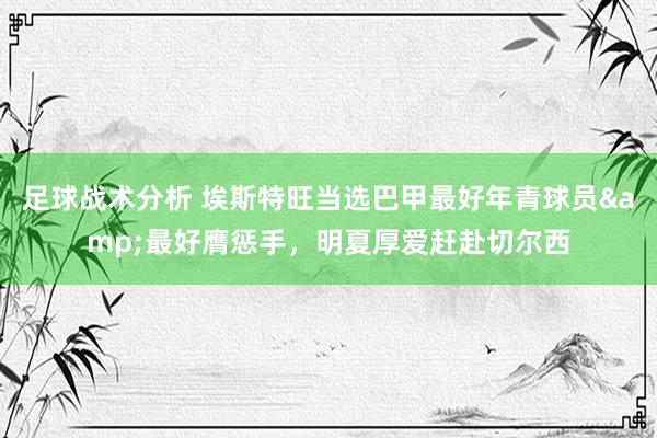 足球战术分析 埃斯特旺当选巴甲最好年青球员&最好膺惩手，明夏厚爱赶赴切尔西