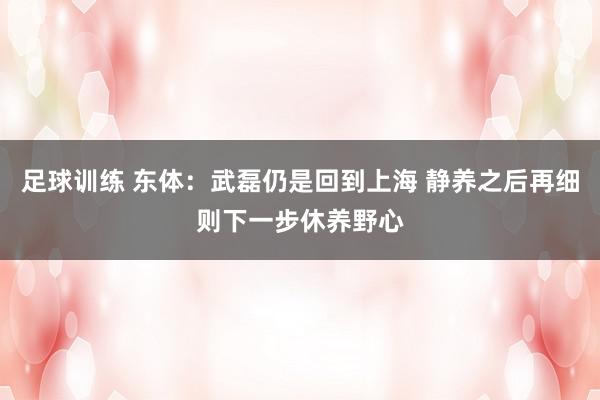 足球训练 东体：武磊仍是回到上海 静养之后再细则下一步休养野心