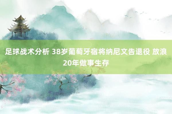 足球战术分析 38岁葡萄牙宿将纳尼文告退役 放浪20年做事生存